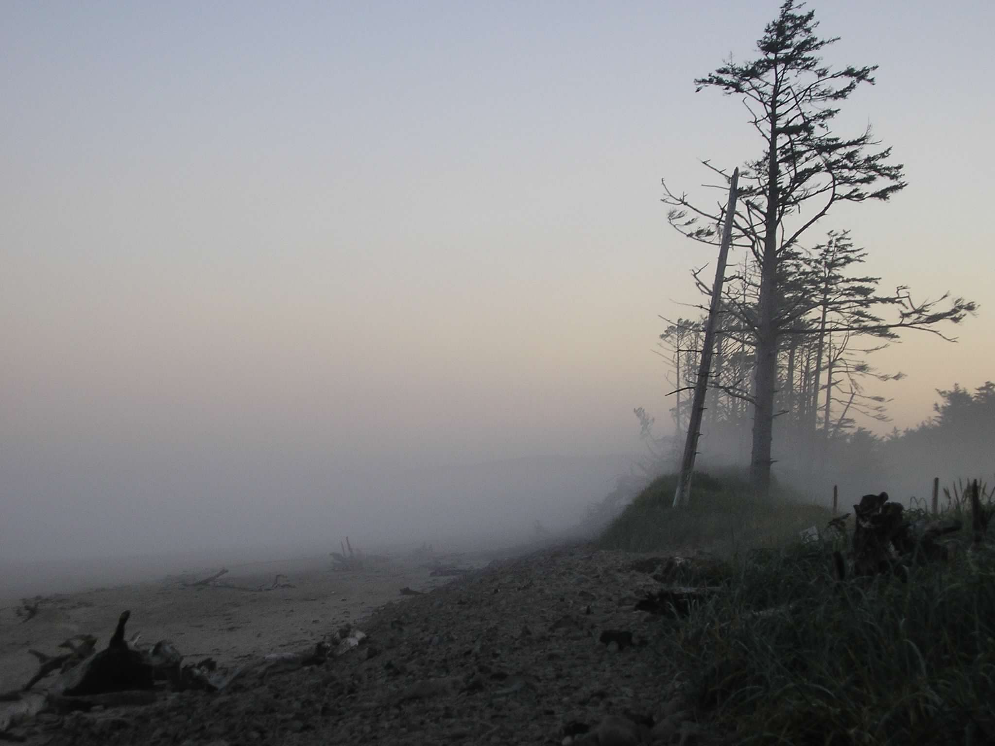 Cape Lookout Mist